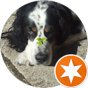 Laurence Pivoteau profile picture