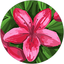 K Goms profile picture